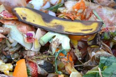 Compost