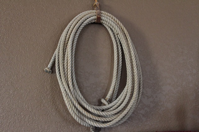 Best Lasso Rope for Beginners