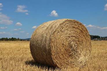 Round Bale Feeder for Cattle